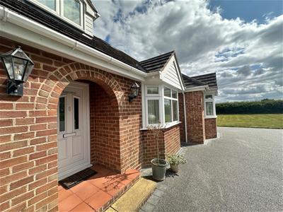 Picture 25
